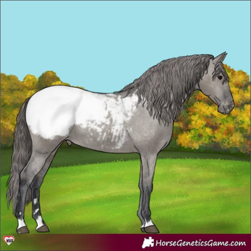 Horse Color:Grullo Snowcap Rabicano 