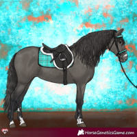 Horse Color:Grullo Varnish Rabicano 