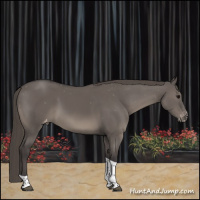 Horse Color:Smoky Grullo Tobiano Varnish Rabicano 