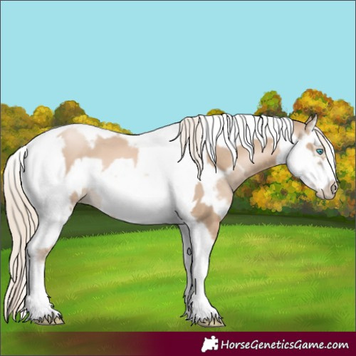 Horse Color:Chocolate Palomino Pearl Tobiano Frame  and Chocolate Palomino Pearl Splash Tobiano Frame 