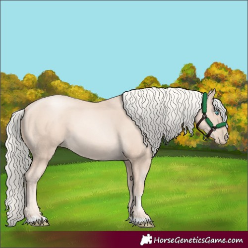 Horse Color:Gold Cream Champagne Pearl 