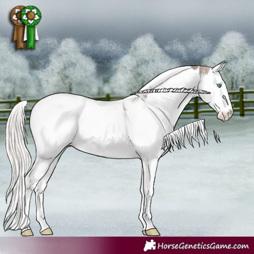 Horse Color:Silver Black Sabino Splash Tobiano Rabicano 
