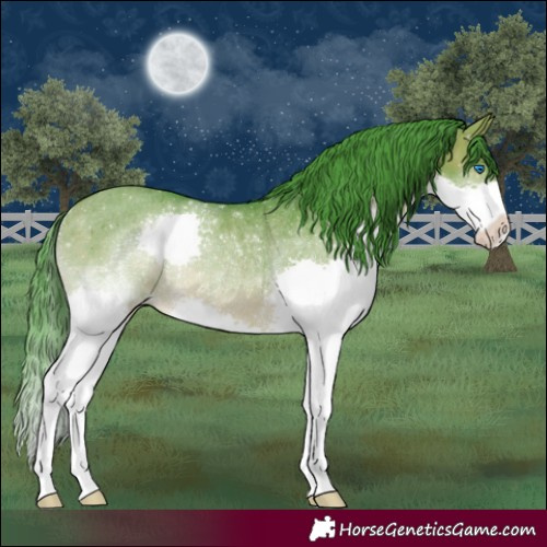 Horse Color:Watercolor Brown Dun Splash Rabicano
