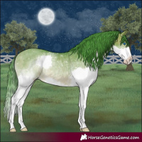 Horse Color:Watercolor Brown Dun Splash Rabicano 