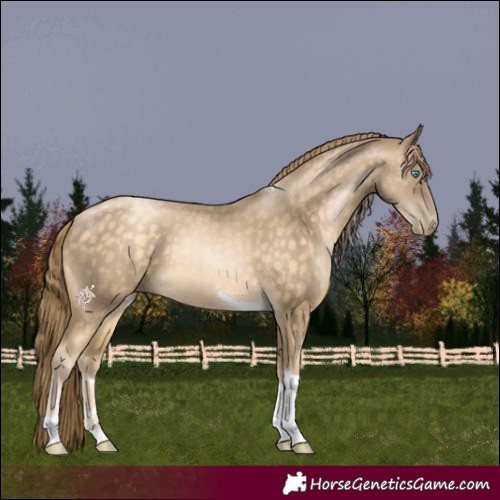 Horse Color:Buckskin Pearl Tobiano 