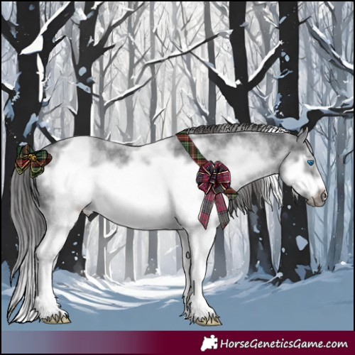 Horse Color:White Spotted Blue Roan Splash Frame Appaloosa