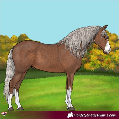 Horse Color:Silver Black 