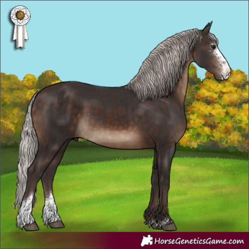 Horse Color:Silver Brown Sabino 