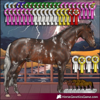Horse Color:White Spotted Silver Brown Rabicano and Silver Brown Sabino Rabicano