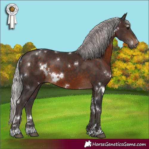 Horse Color:White Spotted Silver Brown 