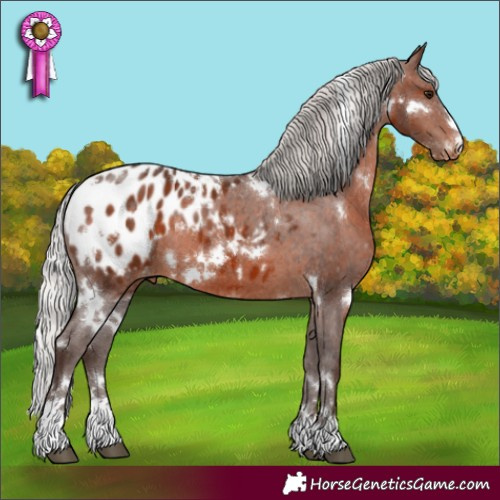 Horse Color:White Spotted Silver Brown Appaloosa 