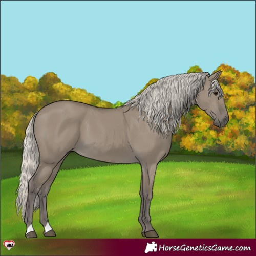 Horse Color:Silver Smoky Grullo 