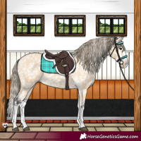 Horse Color:Buckskin Splash Snowflake Varnish 