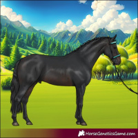 Horse Color:Brown 