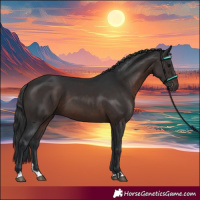 Horse Color:Brown 