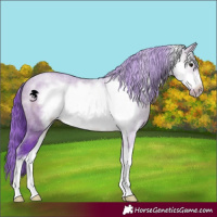 Horse Color:Watercolor Brown Dun Sabino Frame 