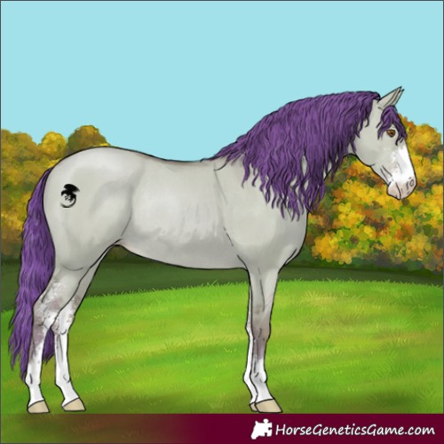 Horse Color:Watercolor Classic Champagne Dun Sabino Rabicano 