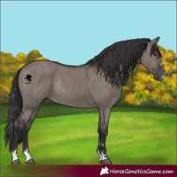 Horse Color:Smoky Grullo Rabicano 