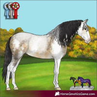 Horse Color:Buckskin Dun Sabino 