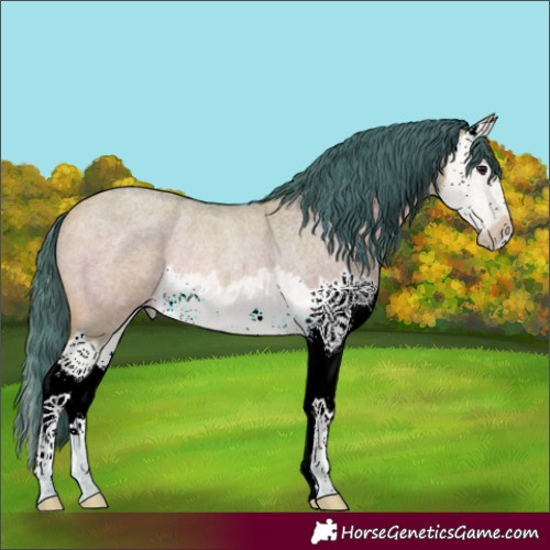 Horse Color:Watercolor Bay Roan Dun Splash Rabicano 