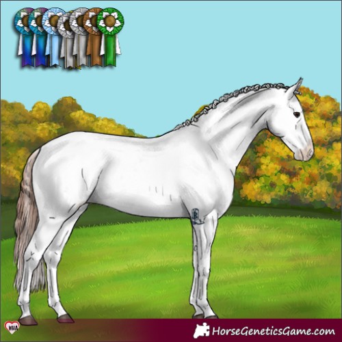 Horse Color:Bay Dun Sabino Varnish