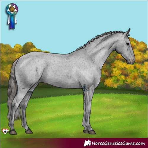 Horse Color:Black Varnish 