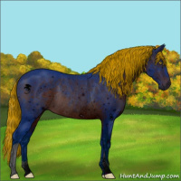 Horse Color:ERROR: UNKNOWN ANOMALY