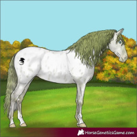 Horse Color:Watercolor White Spotted Sable Champagne Pearl Dun Near Leopard 