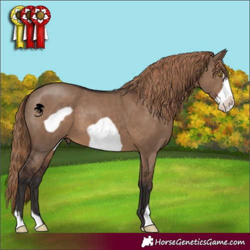 Horse Color:Liver Red Dun Frame 