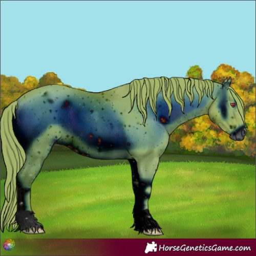 Horse Color:ERROR: UNKNOWN ANOMALY