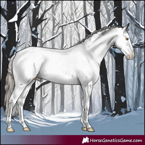 Horse Color:Liver Chestnut Sabino Rabicano 