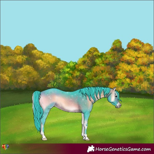 Horse Color:Watercolor Bay Onyx 