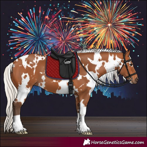 Horse Color:White Spotted Silver Bay 