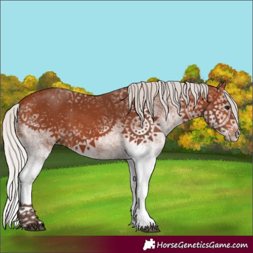 Horse Color:White Spotted Silver Brown 