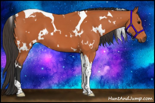 Horse Color:White Spotted Bay Tobiano 