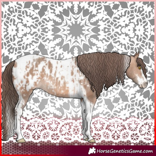 Horse Color:Amber Champagne Sabino Tobiano Appaloosa  and Sable Champagne Sabino Tobiano Appaloosa 
