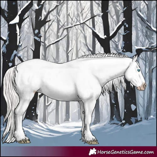 Horse Color:Gray Silver Perlino Dun Appaloosa 