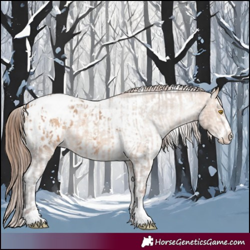 Horse Color:Amber Champagne Sabino Tobiano Appaloosa  and Amber Champagne Sabino Tobiano Appaloosa 