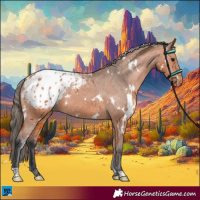 Horse Color:White Spotted Bay Appaloosa