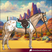 Horse Color:White Spotted Chestnut Appaloosa