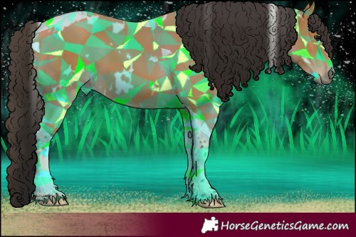 Horse Color:White Spotted Bay Tobiano 