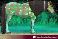 Horse Color:White Spotted Bay Tobiano