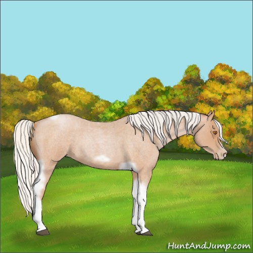 Horse Color:Silver Blue Roan Pearl Tobiano Frame 