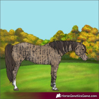 Horse Color:Smoky Black  and Classic Cream Champagne 