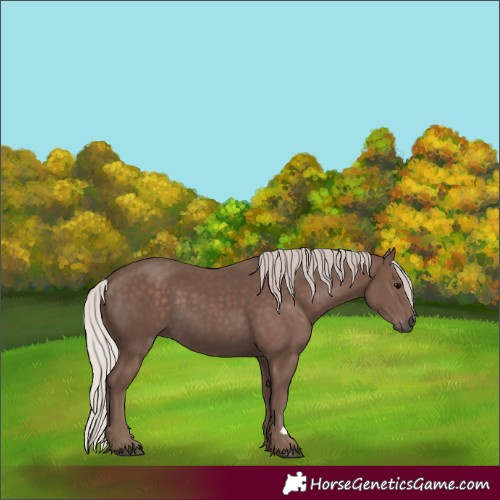 Horse Color:Silver Black 