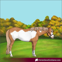 Horse Color:Chestnut Frame
