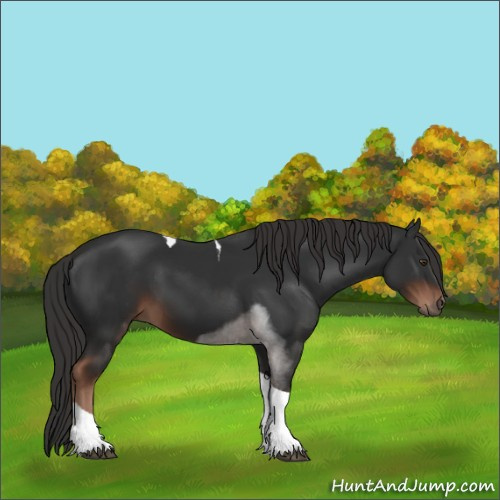 Horse Color:Liver Chestnut Tobiano 