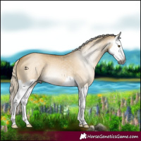 Horse Color:Gray Palomino Dun Splash