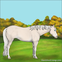 Horse Color:Cremello Splash  and Cremello Splash 