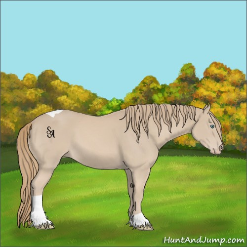 Horse Color:Smoky Creme Tobiano